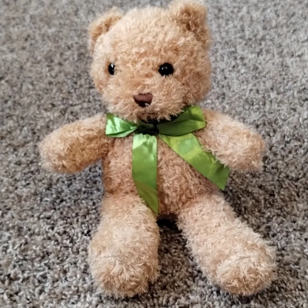 Small Teddy Bear